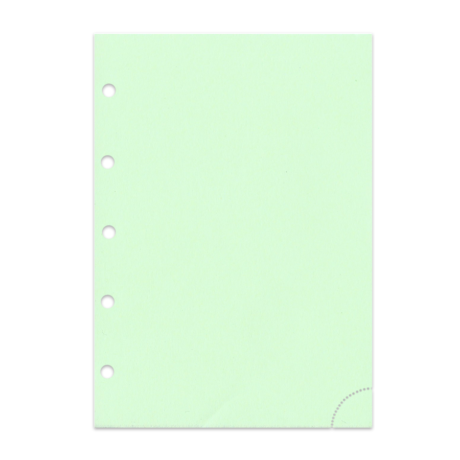Notizpapier in grün Junior Piccolo DIN A5 mit Perforation 50 Blatt