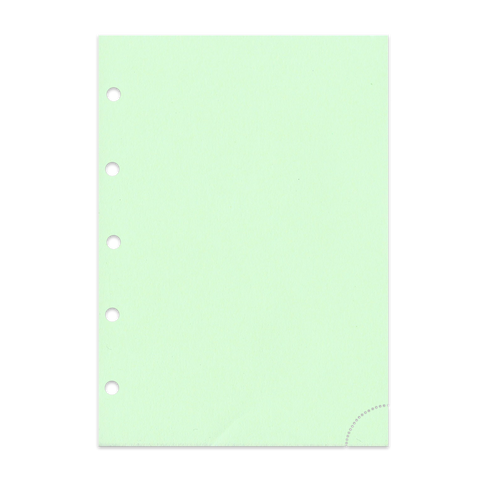 Notizpapier in grün Junior Piccolo DIN A5 mit Perforation 50 Blatt